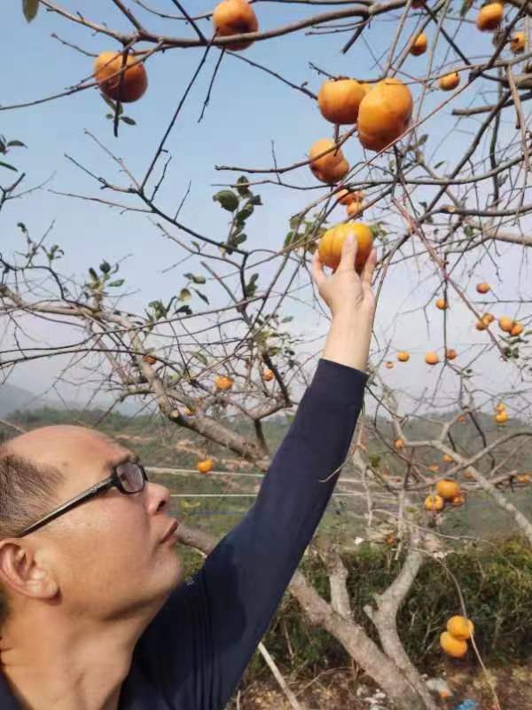 柿花基地